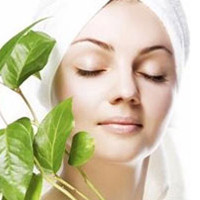 nykaa beauty