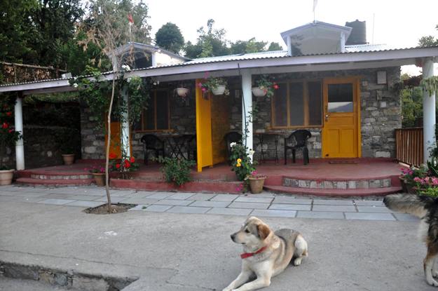 Pet friendly Hotels in India