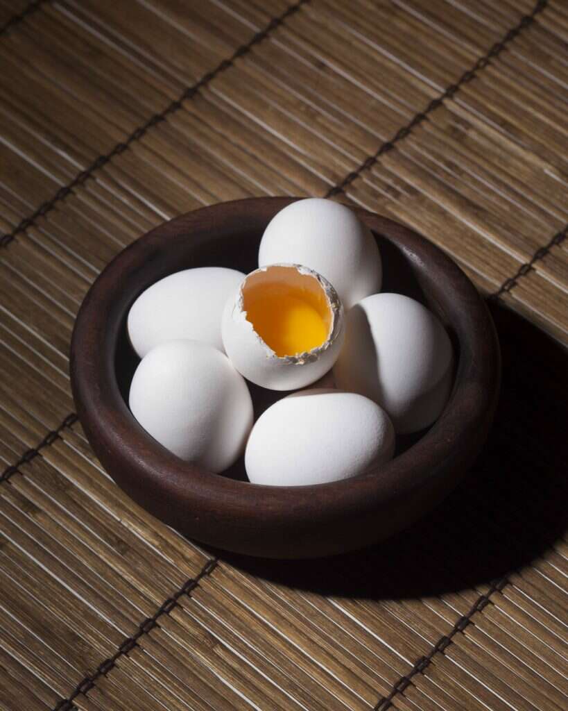 egg