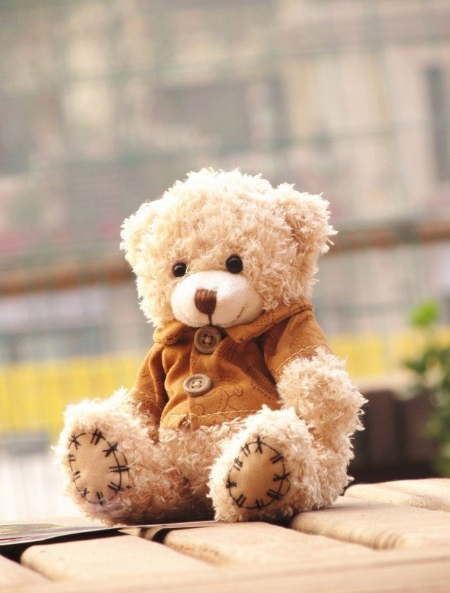 teddy bear gifts for her