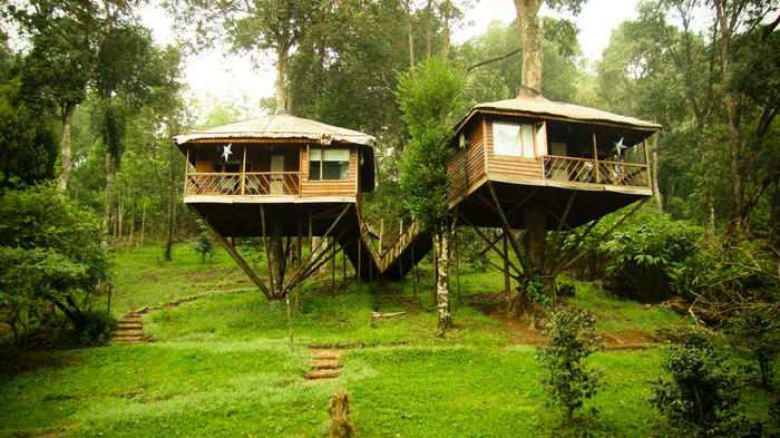 Treehouses Munnar road trips in india