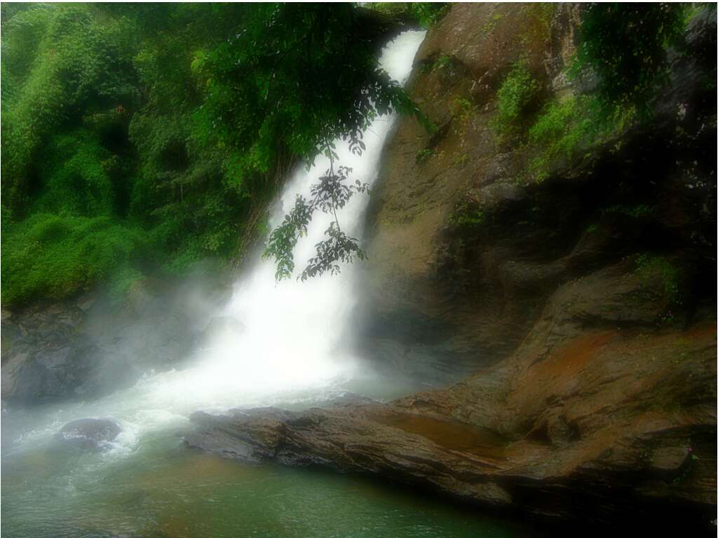 Sentinel Rock Waterfalls Kerala