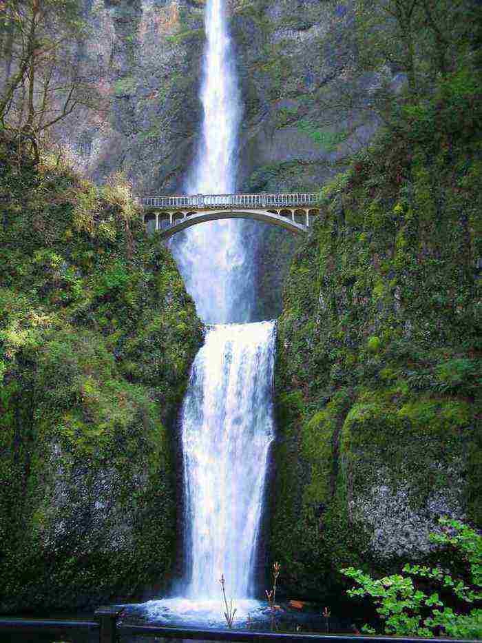 doodhsagar falls goa 10 breataking waterfalls india