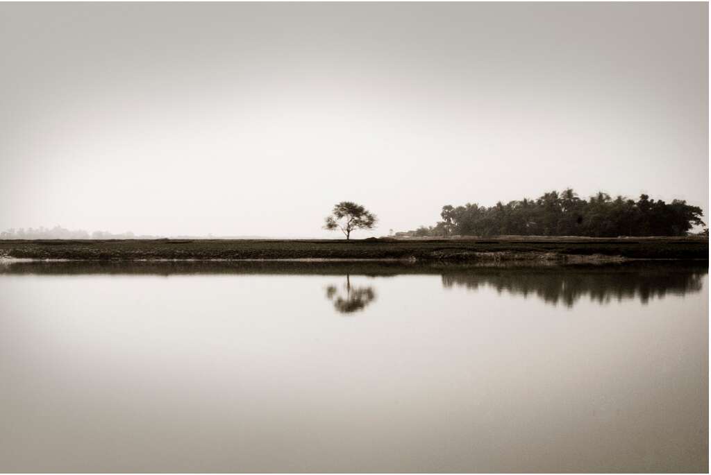  10 places to visit in india before they disappear bhitarkanika mangrove