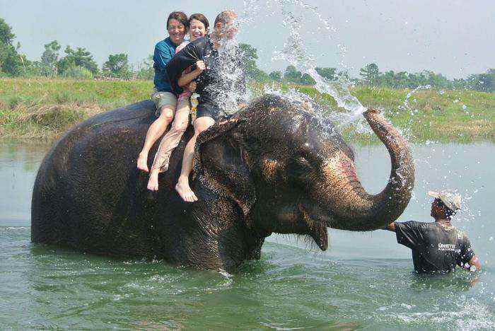 places to visit in goa elephant splash