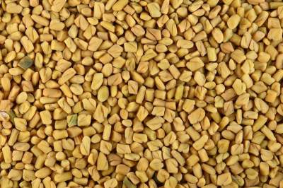 Increase-Hair-Density-Fenugreek_seeds