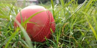 all about grabon cricket fantasy