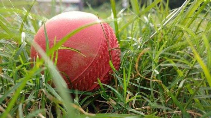 all-about-grabon-cricket-fantasy all about grabon cricket fantasy