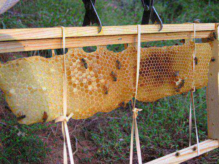 diy beehive