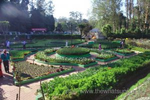 Best Places to Visit in Kodaikanal