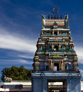 Best Places to Visit in Kodaikanal