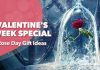 Rose Day featured