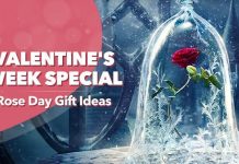 Rose Day featured