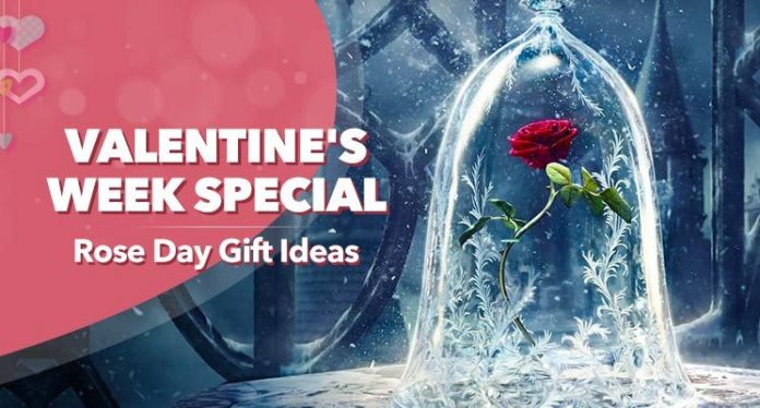 Rose Day featured