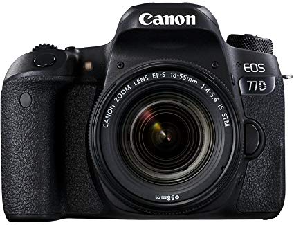 Best DSLR Camera For Beginners