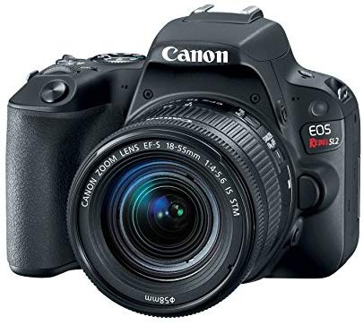 Best DSLR Camera For Beginners