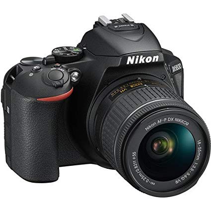 Best DSLR Camera For Beginners