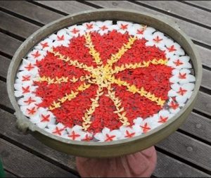 Easy Rangoli Designs To Make Your Pongal Rangoli The Best