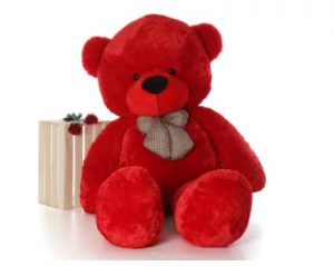 Teddy Bear GIft