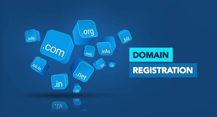 how domain registration works